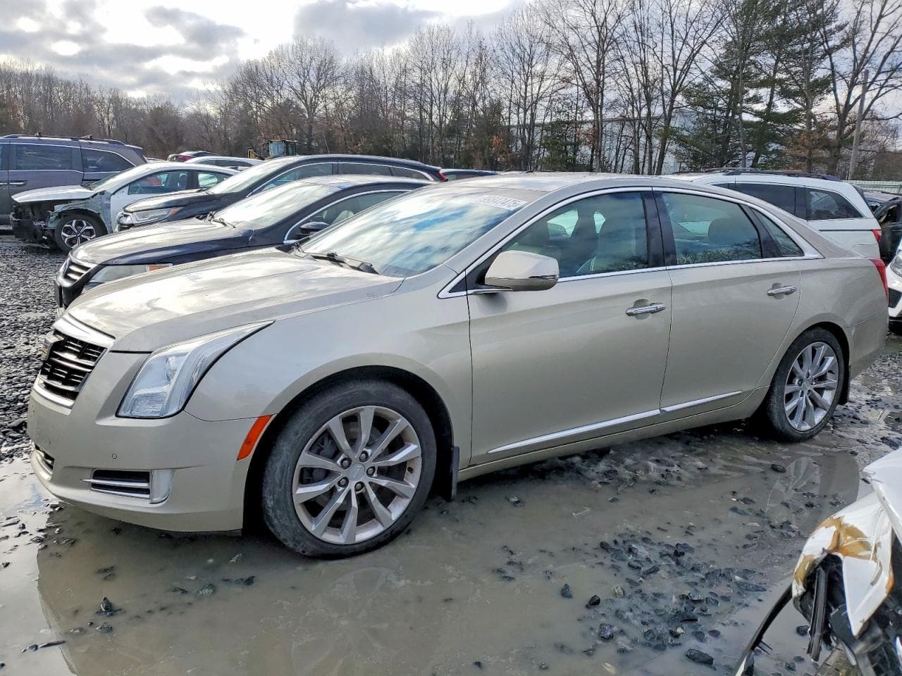 XTS
