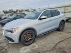 STELVIO