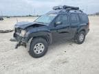 XTERRA