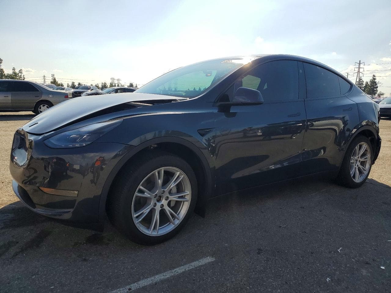 MODEL Y