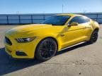 MUSTANG