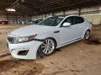 OPTIMA