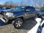 TACOMA