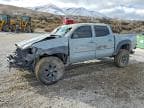 TACOMA