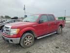 F150