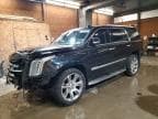 ESCALADE
