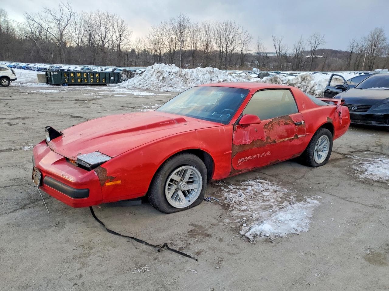 FIREBIRD