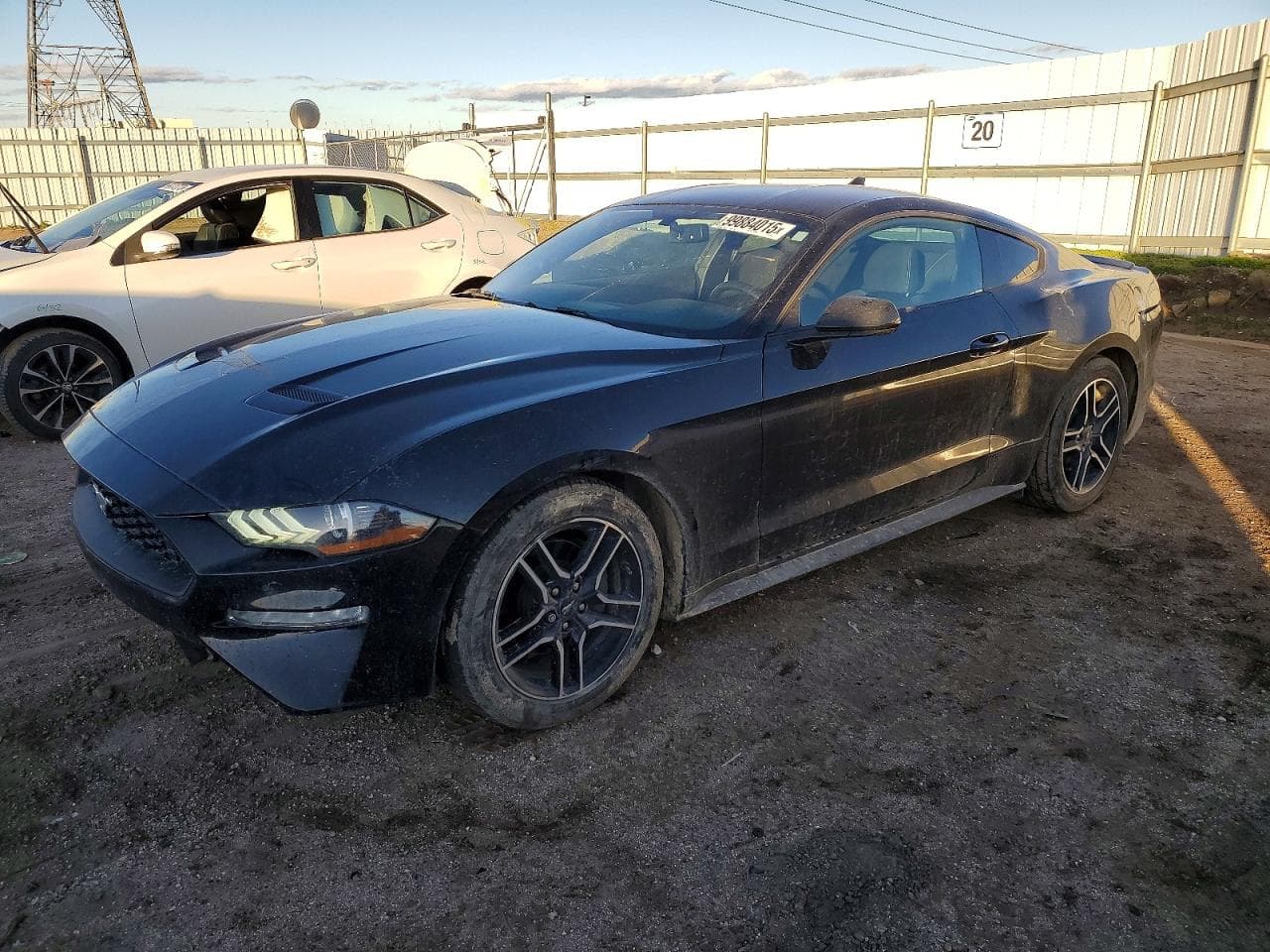 MUSTANG