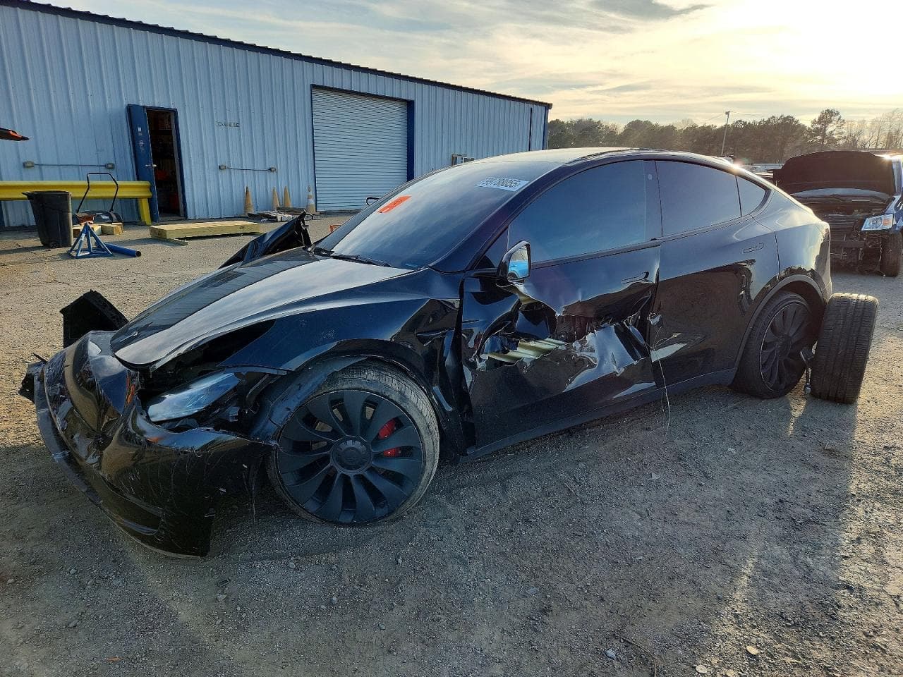 MODEL Y