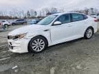 OPTIMA