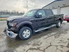 F-150