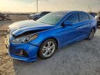 SONATA