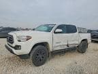 TACOMA