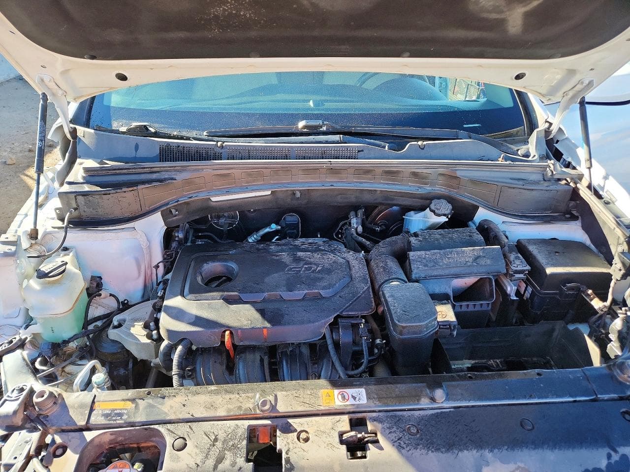 Foto 11