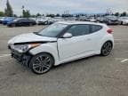 VELOSTER