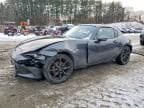 MX5