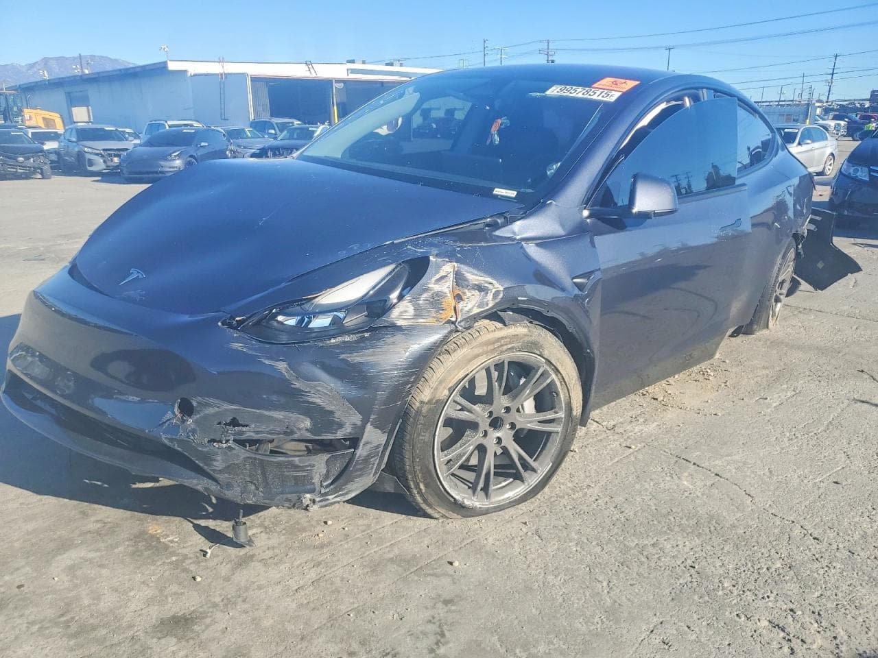 MODEL Y