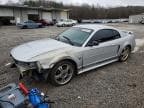 MUSTANG