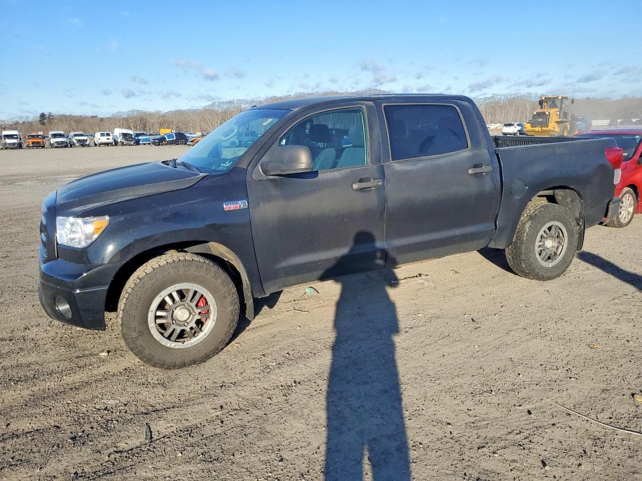 TUNDRA