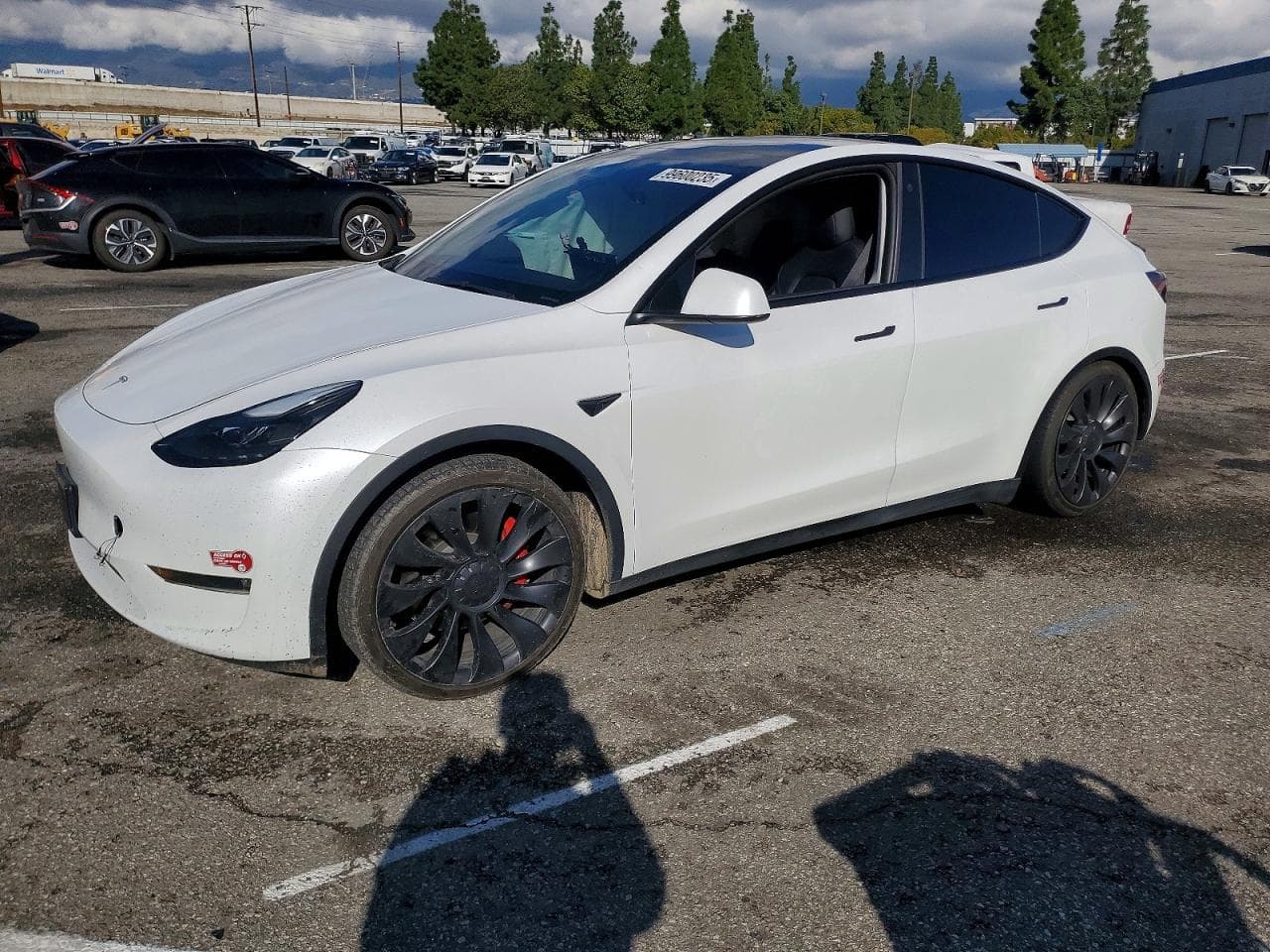 MODEL Y