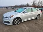 SONATA