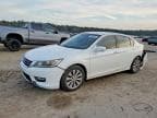 ACCORD