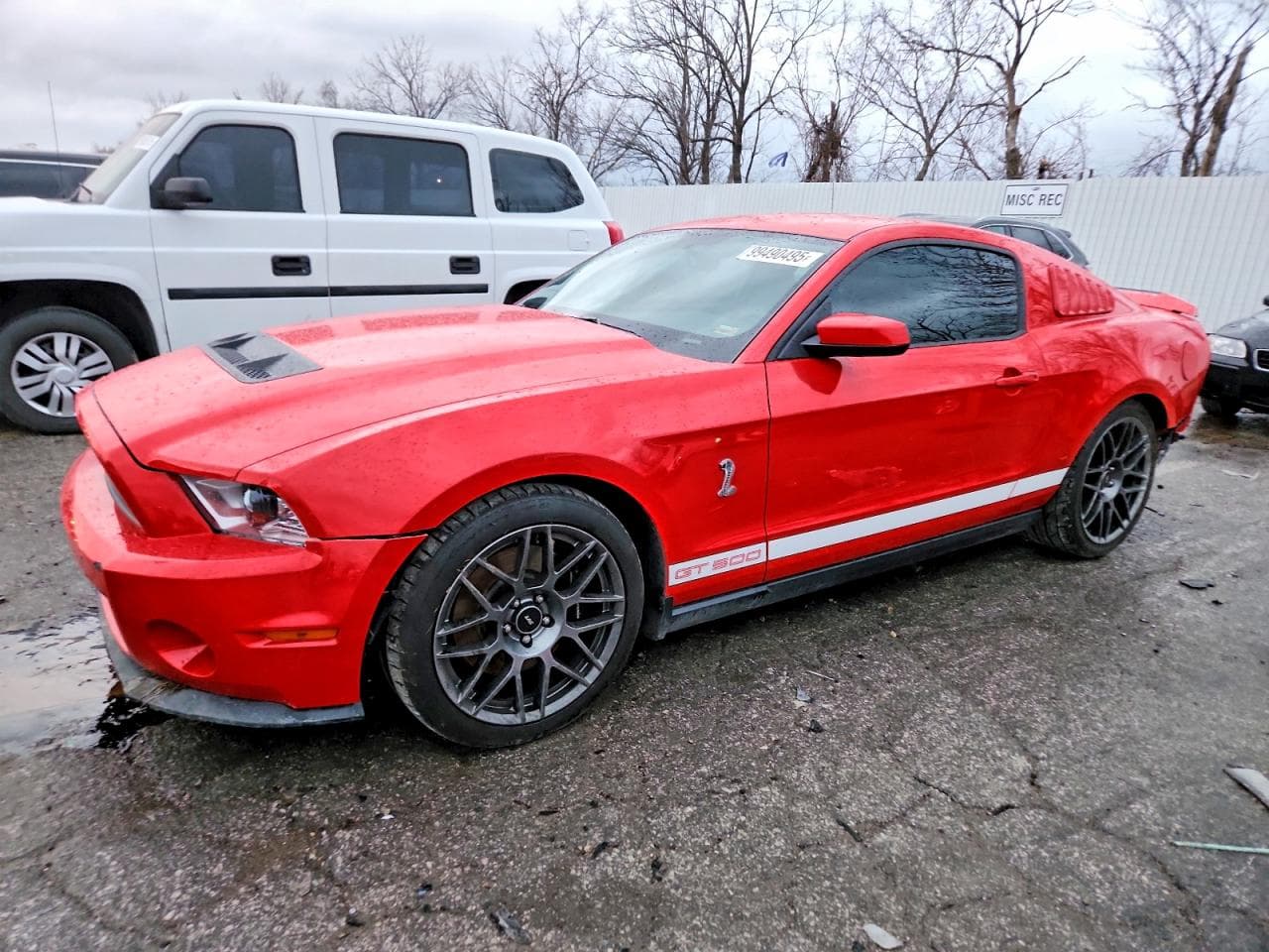 MUSTANG