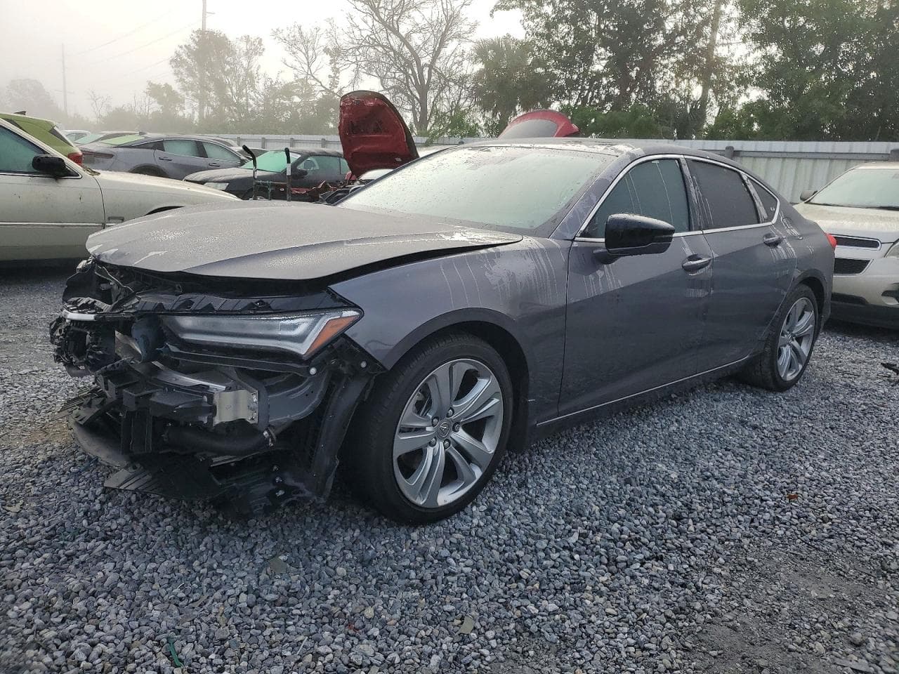 TLX