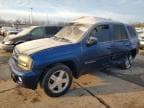 TRAILBLZR