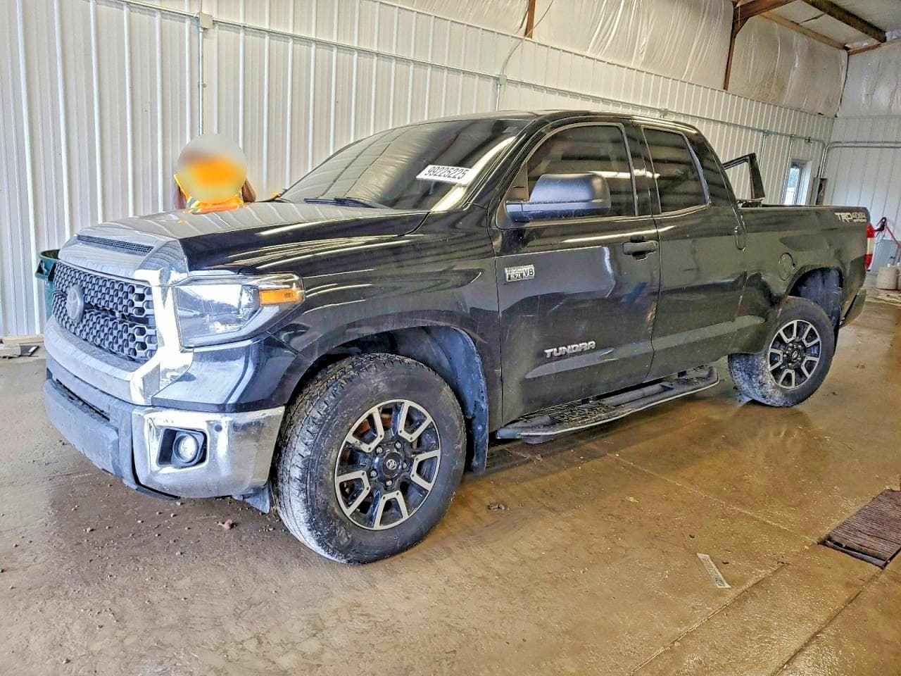 TUNDRA