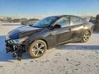 SENTRA
