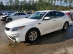 OPTIMA