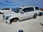 ESCALADE
