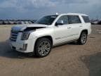ESCALADE
