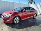 SONATA