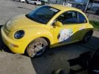 BEETLE