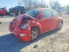 BEETLE