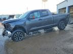 TUNDRA