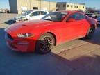 MUSTANG