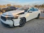 ACCORD