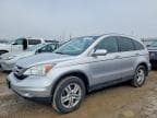 CRV