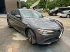 GIULIA