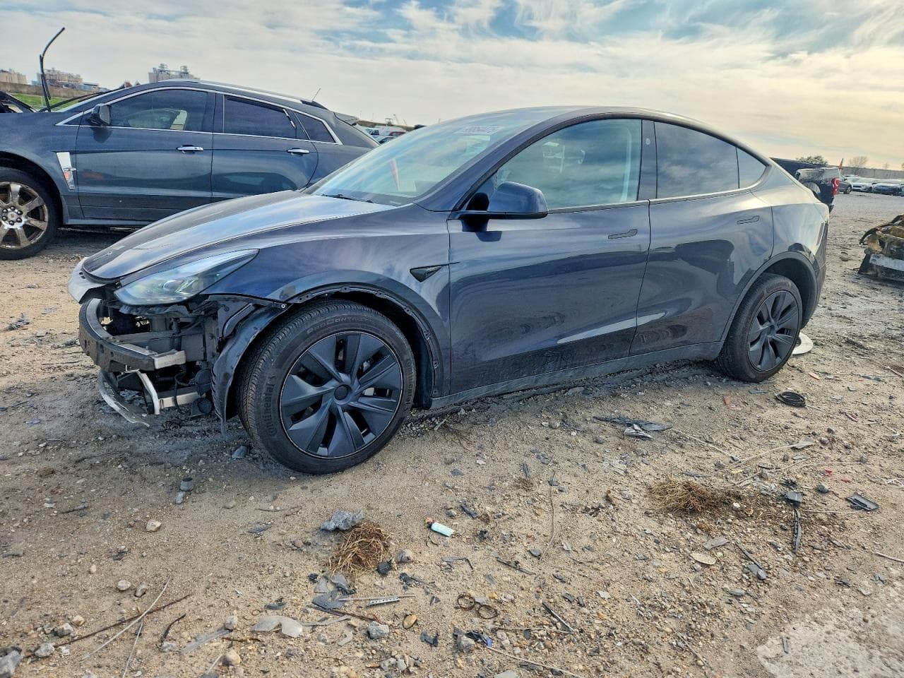 MODEL Y