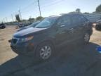 SORENTO
