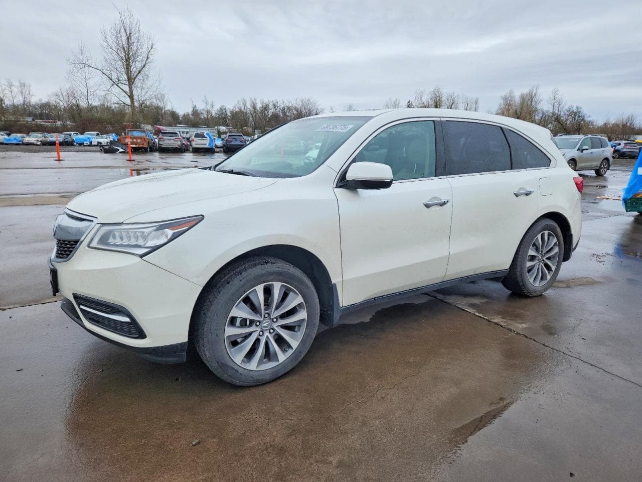 MDX