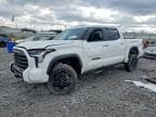 TUNDRA