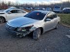 ACCORD