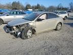 CRUZE