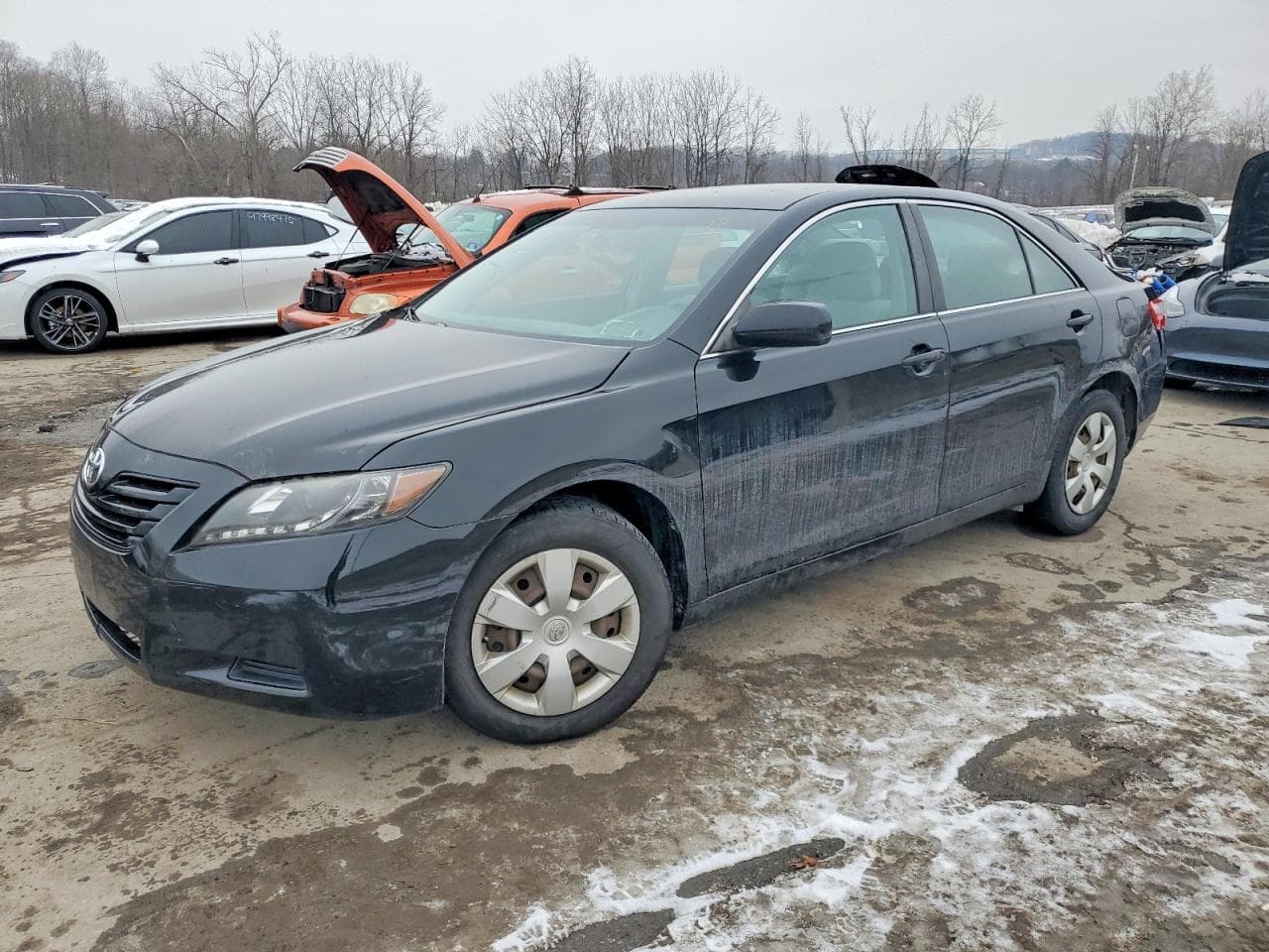 CAMRY
