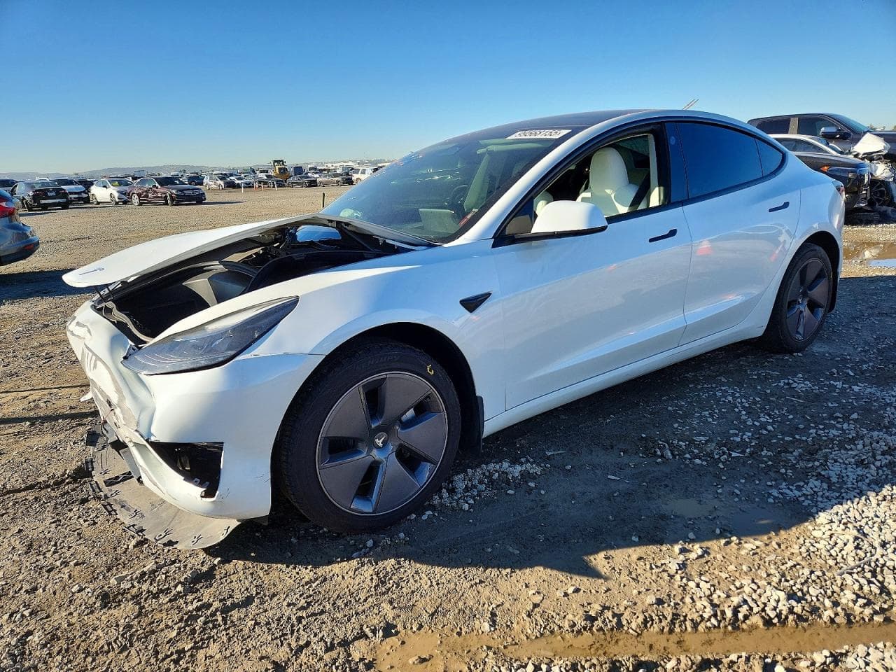 MODEL 3